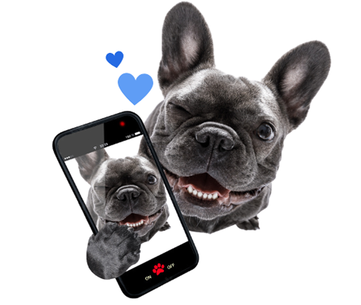 America’s BEST 5G Network