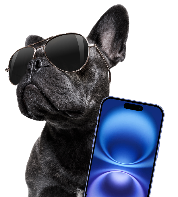 mobile-banner