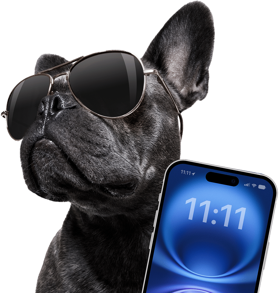 Dog Iphone