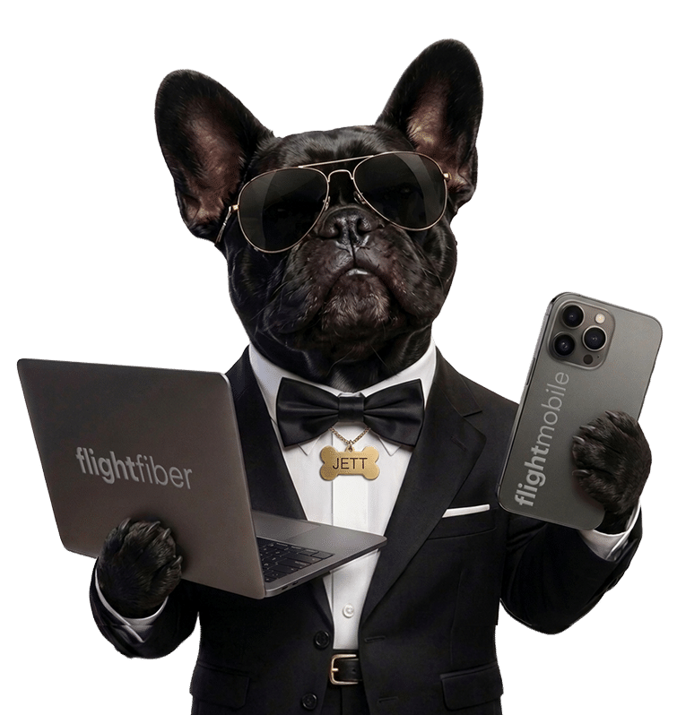 French Bulldog with laptop and phone