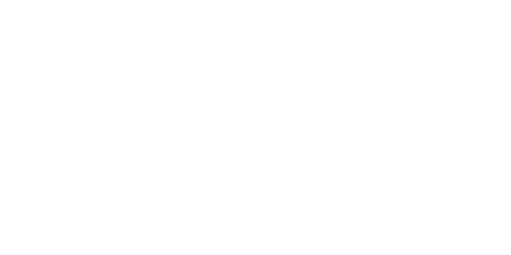 Flight Fiber reversed logo
