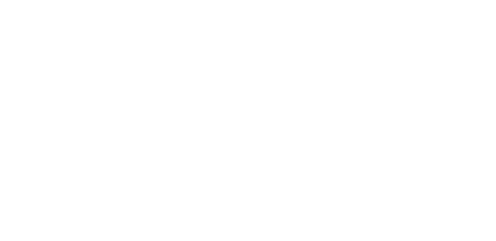 Home page flight logo white Asset